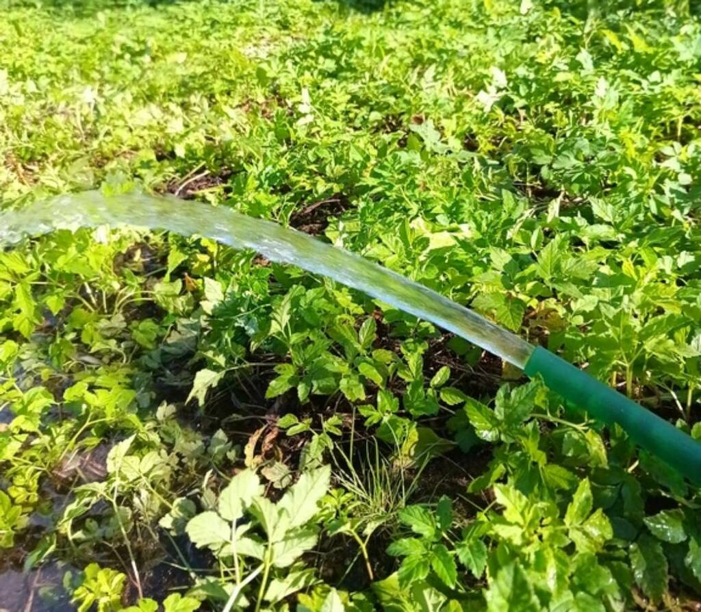 Kā pieteikt spices ierīkošanu